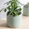 Garden Trading Green Cement Plant Pot In 18cm